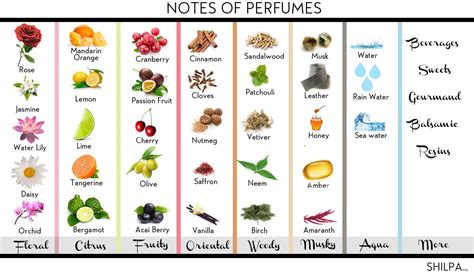 most common perfume scents.